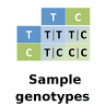 Sample genotypes of a variant