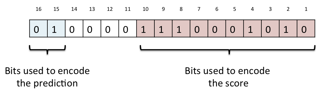 protein function encoding