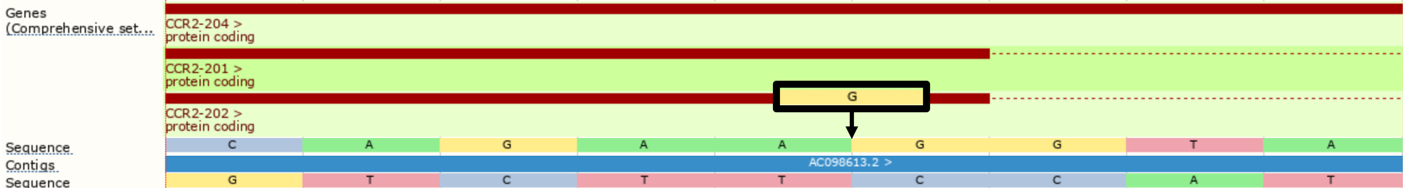 ENST00000292301 Example